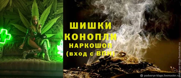 тгк Медногорск
