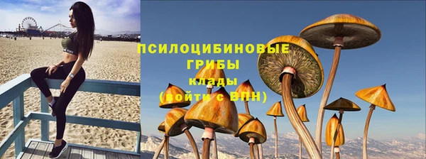 тгк Медногорск