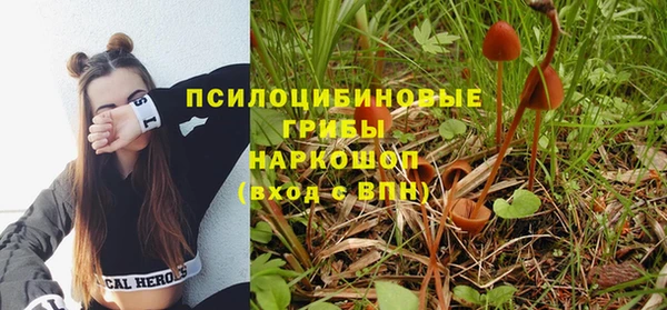 прущий лед Мегион