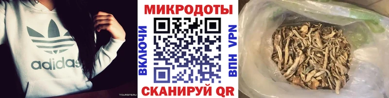 Псилоцибиновые грибы Cubensis Купить Хвалынск